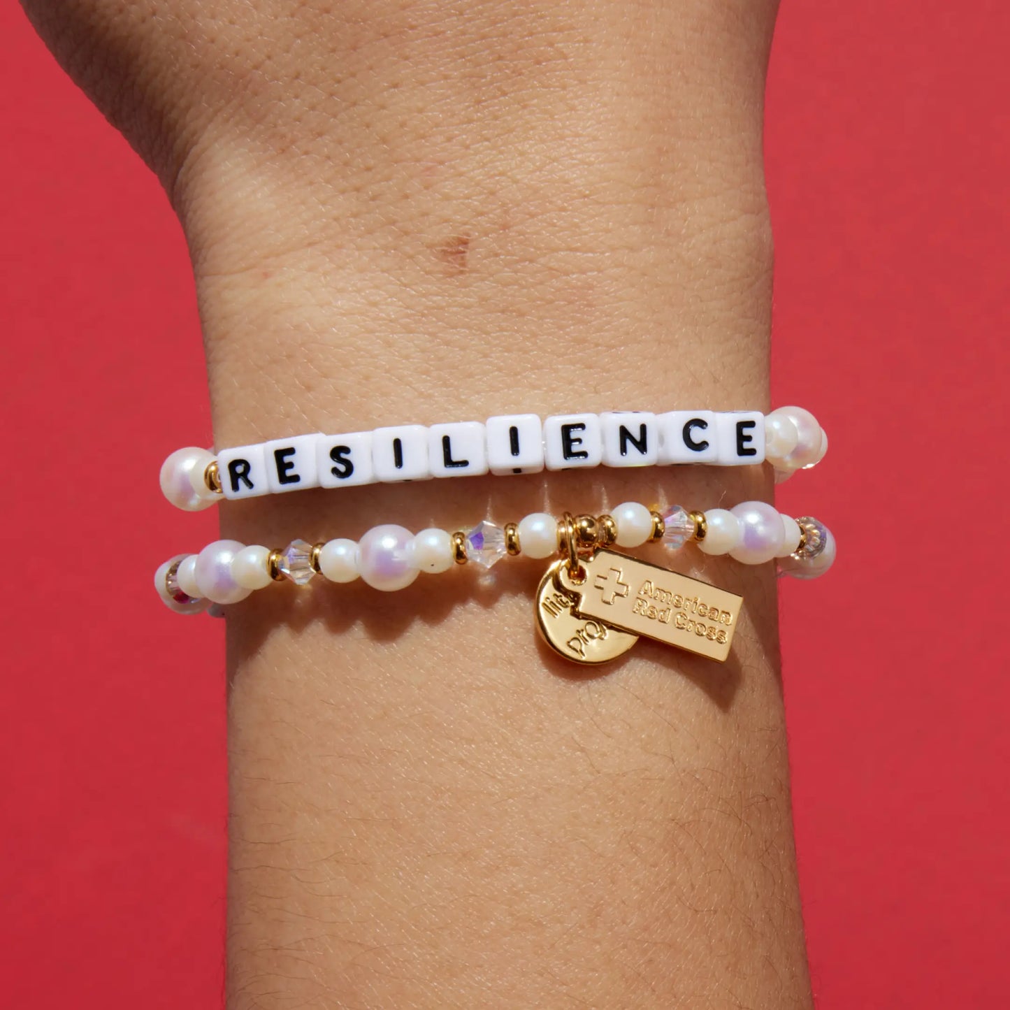 Resilience- Disaster Relief